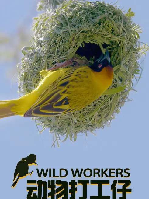  Wild Workers (2021)