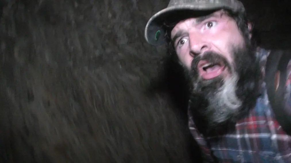 Phim Wilderness Tapes: Volume One - Wilderness Tapes: Volume One (2026)