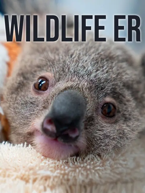 Wildlife ER