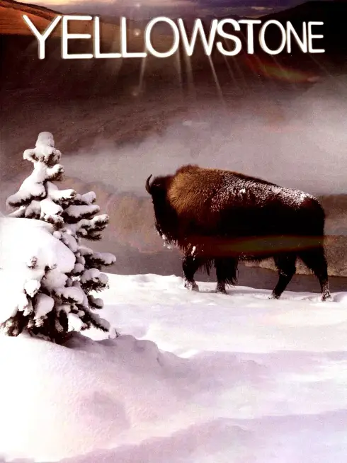 Phim Yellowstone - Yellowstone (2009)