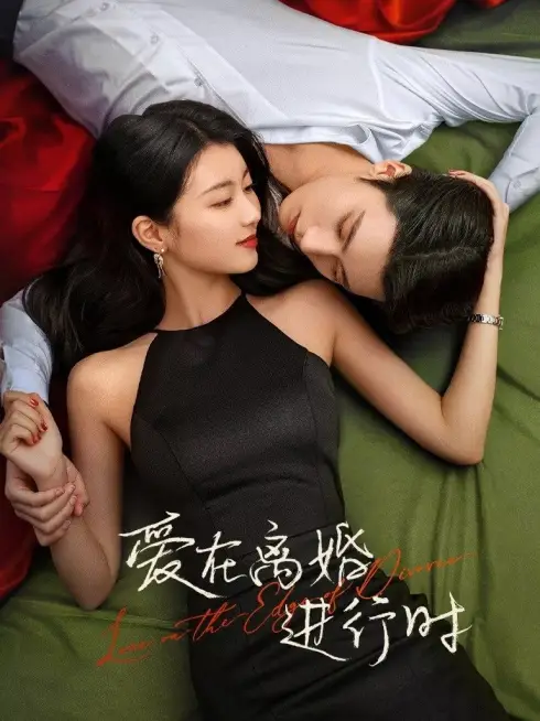 Phim Yêu Khi Sắp Ly Hôn - Love in the Edge of Divorce (2025)